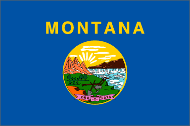 Montana Diminished Value